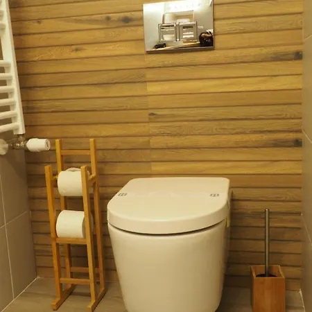 Willow&Pillow Apartments Sibiu Exterior photo
