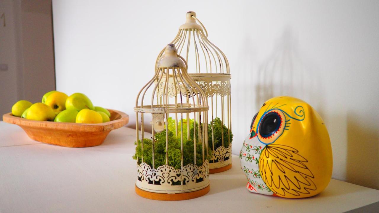 Willow&pillow Appartamento Sibiu